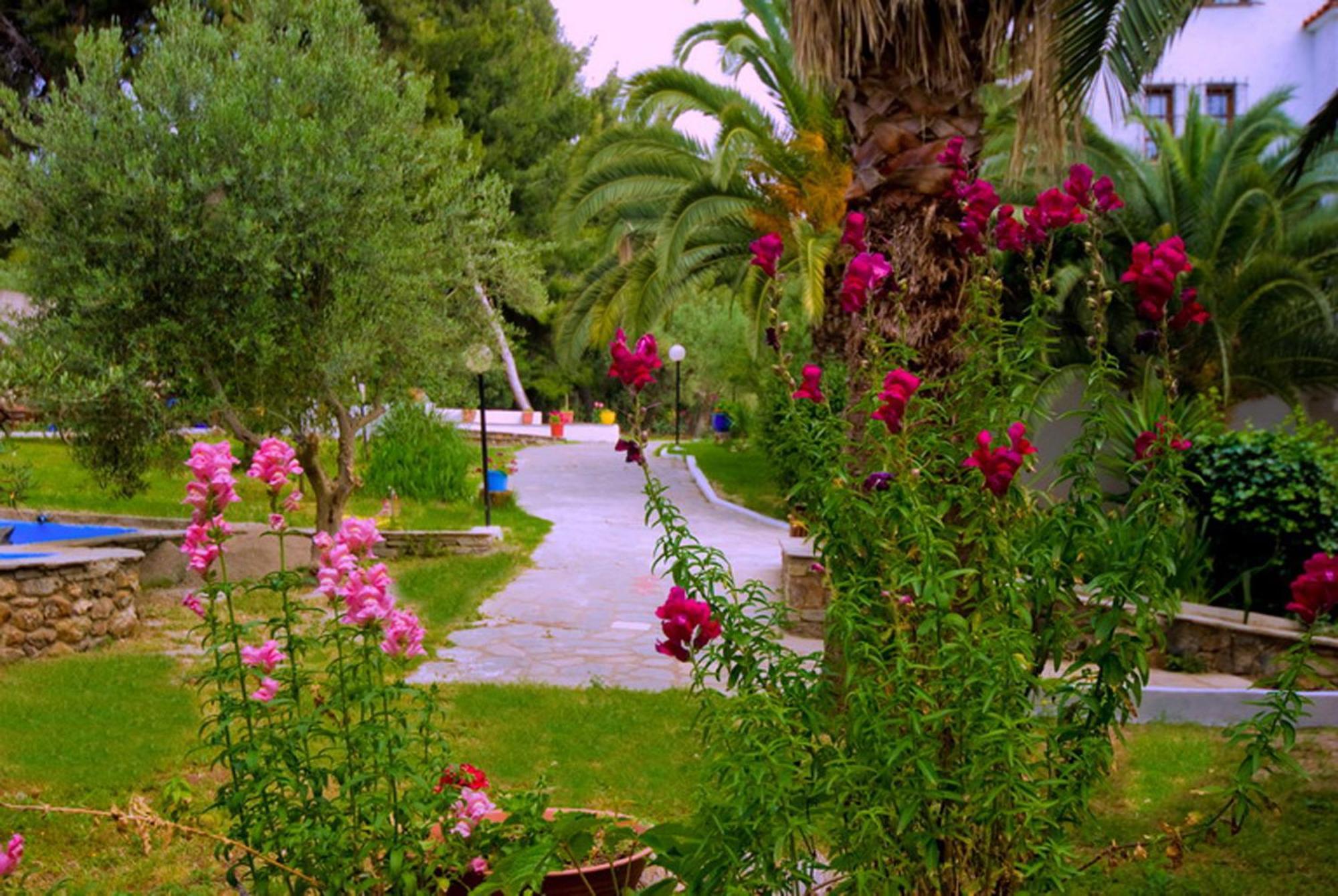 Porfi Beach Hotel Nikiti  Luaran gambar